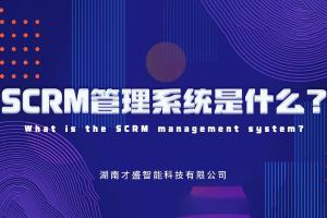 SCRM管理系统是什么？